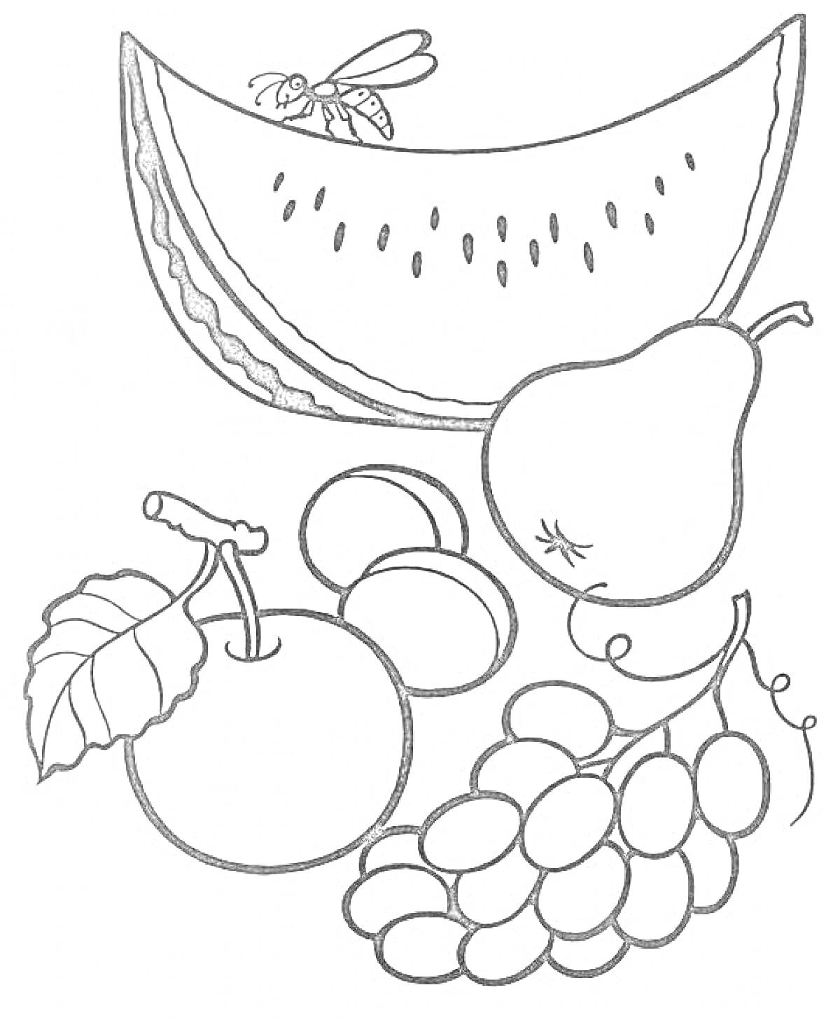 Раскраска Арбуз, груша, виноград, яблоко, слива и муха