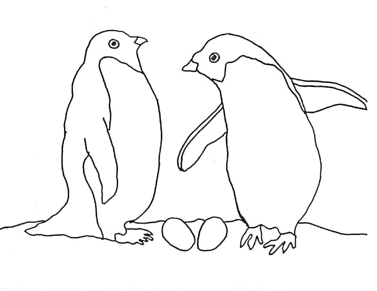 На раскраске изображено: Пингвины, Яйца, Животные севера, Для детей, 4-5 лет