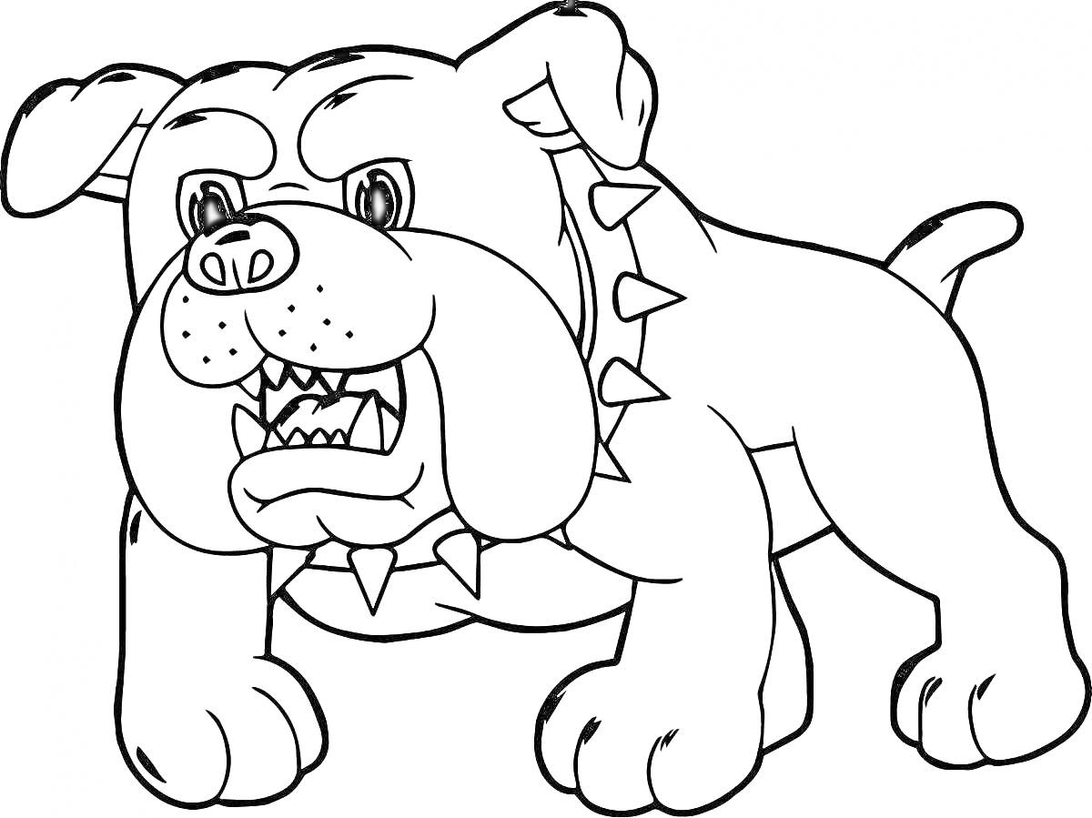 Раскраска Злая собака с шипастым ошейником