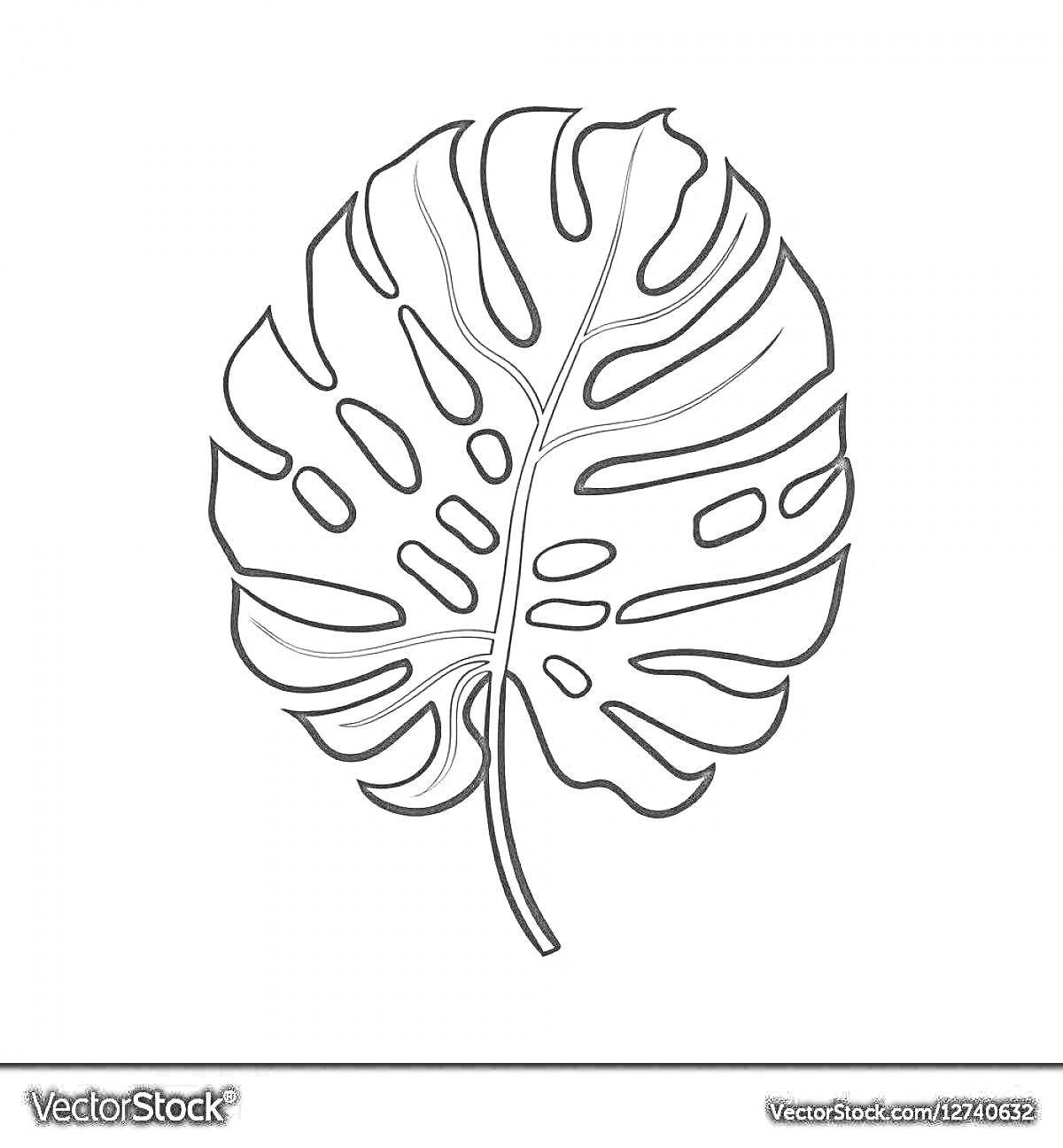 Раскраска Черно-белый контурный рисунок листа монстеры