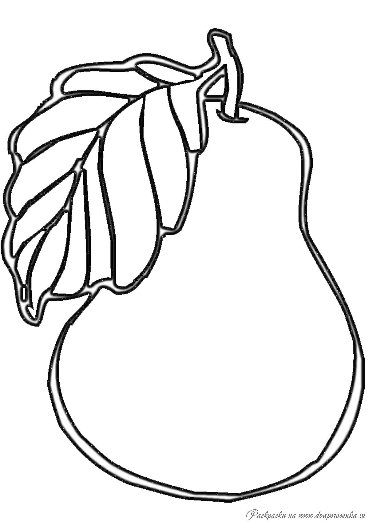 Раскраска Контур груши с листом
