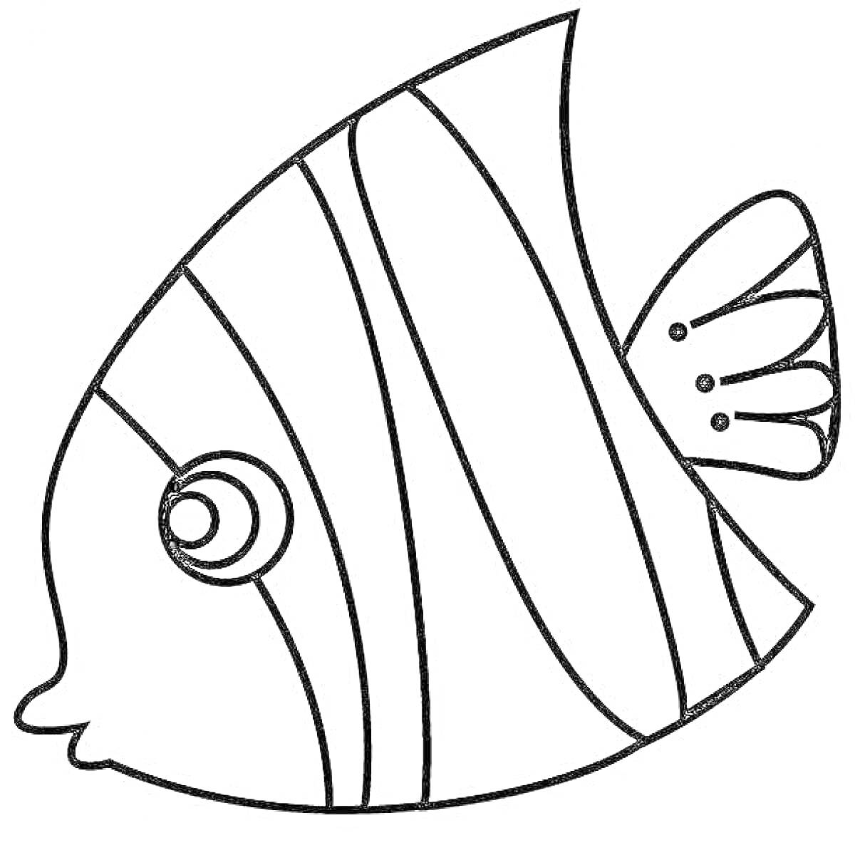 На раскраске изображено: 3 года, 4 года, Морская жизнь