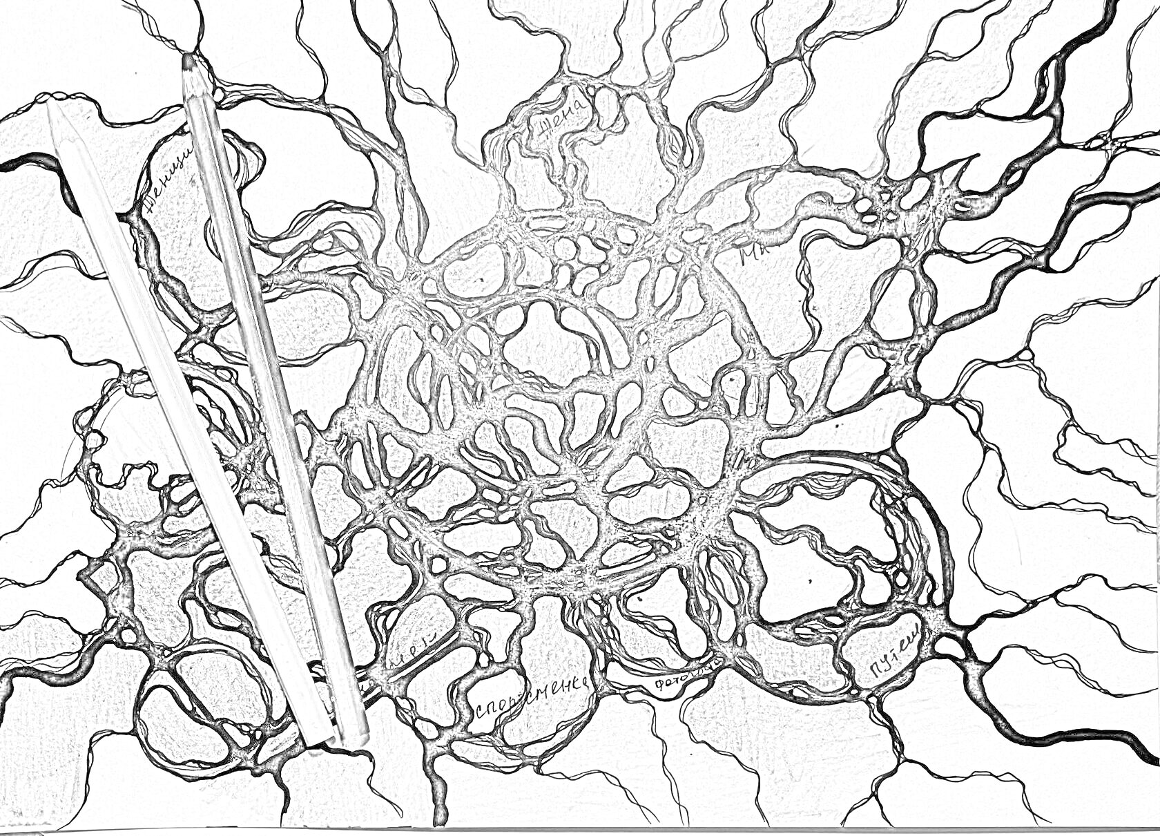 На раскраске изображено: Нейрографика, Карандаши, Абстракция, Узоры, Арт-терапия, Творчество