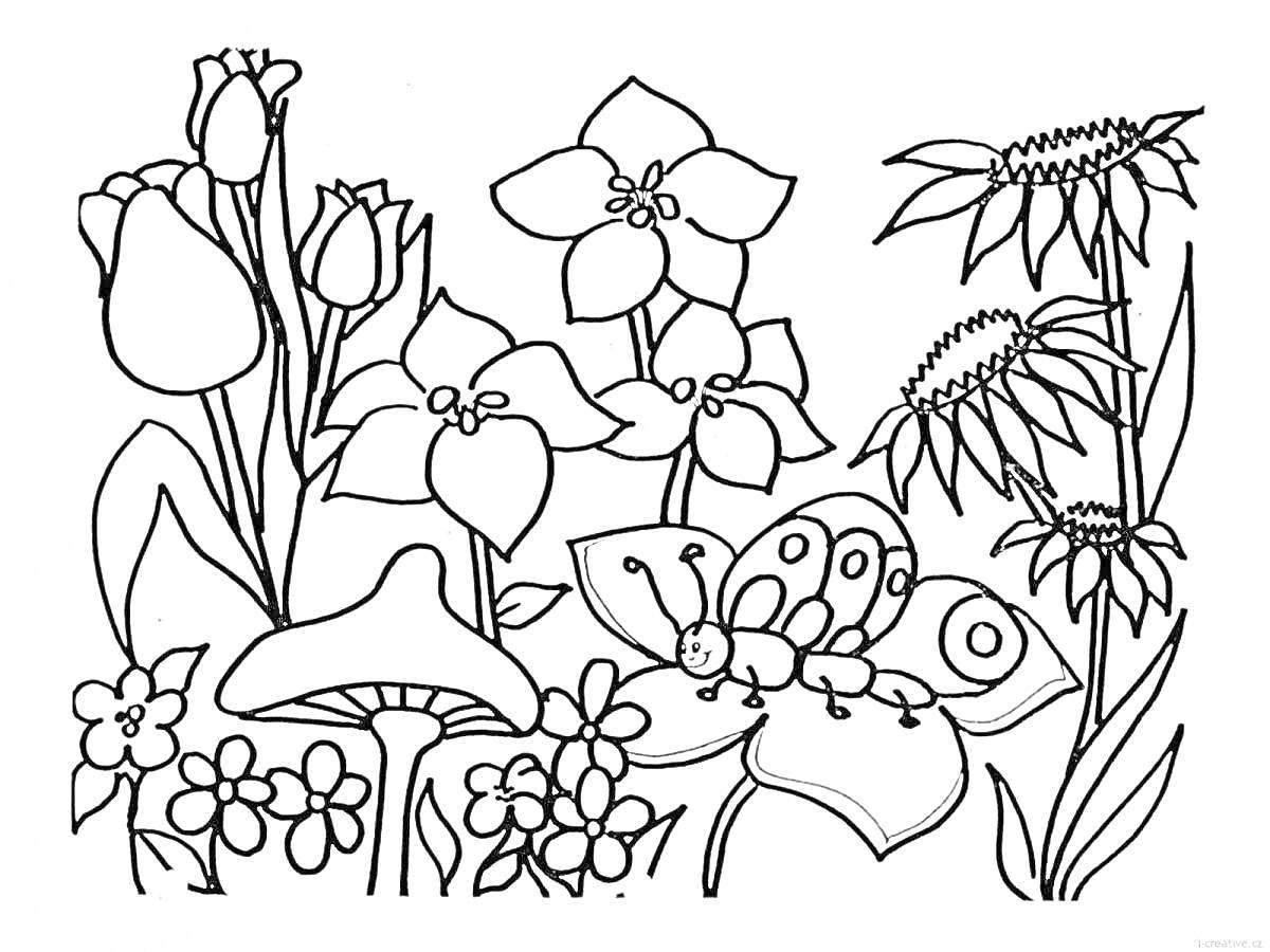 На раскраске изображено: Цветы, Бабочка, Грибы, Лес, Природа, Растения, Лепестки, Листва, Для детей, Трава