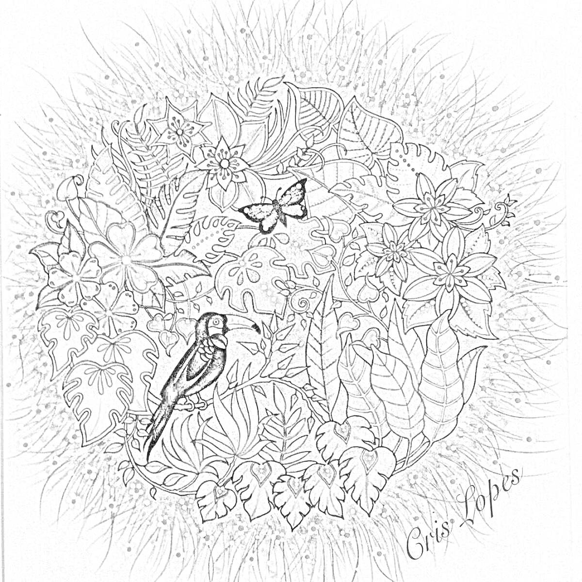 На раскраске изображено: Джунгли, Птица, Бабочка, Цветы, Листья, Природа, Растения