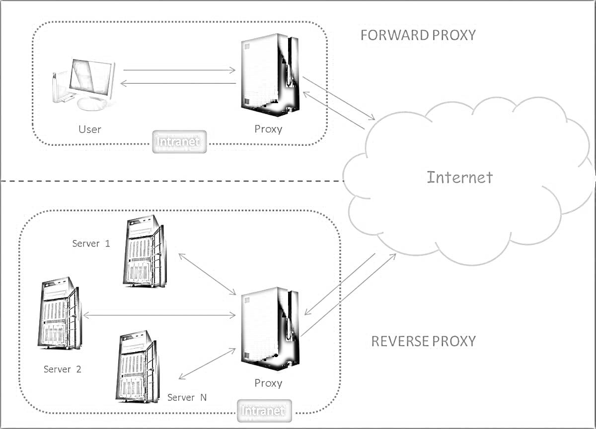 Раскраска Forward Proxy и Reverse Proxy - узел, интернет, пользователь, серверы, прокси