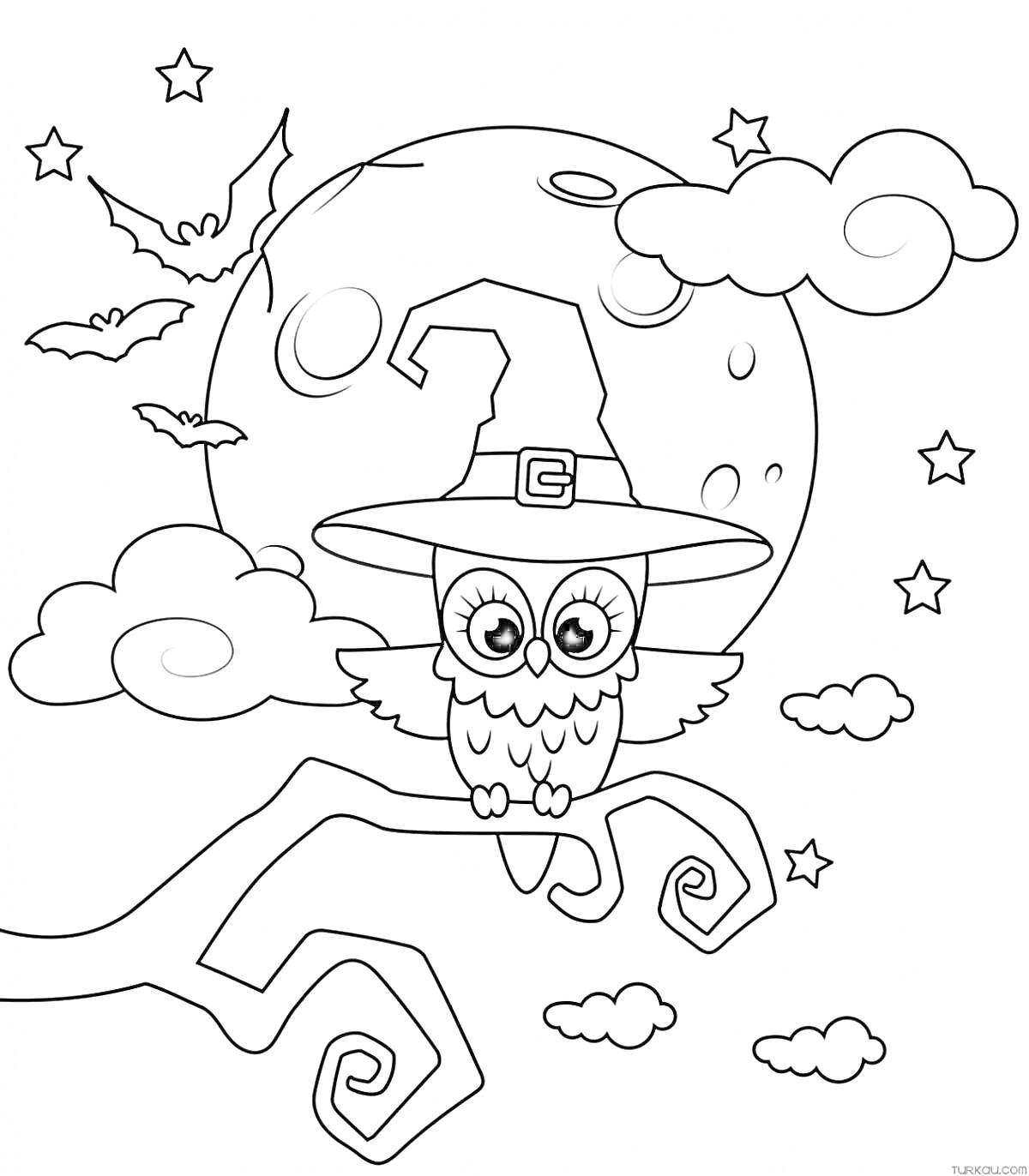 На раскраске изображено: Хэллоуин, Сова, Ведьма, Шляпа, Луна, Полная луна, Облака, Звезды, Ночь, Ветка, Деревья, Летучая мышь