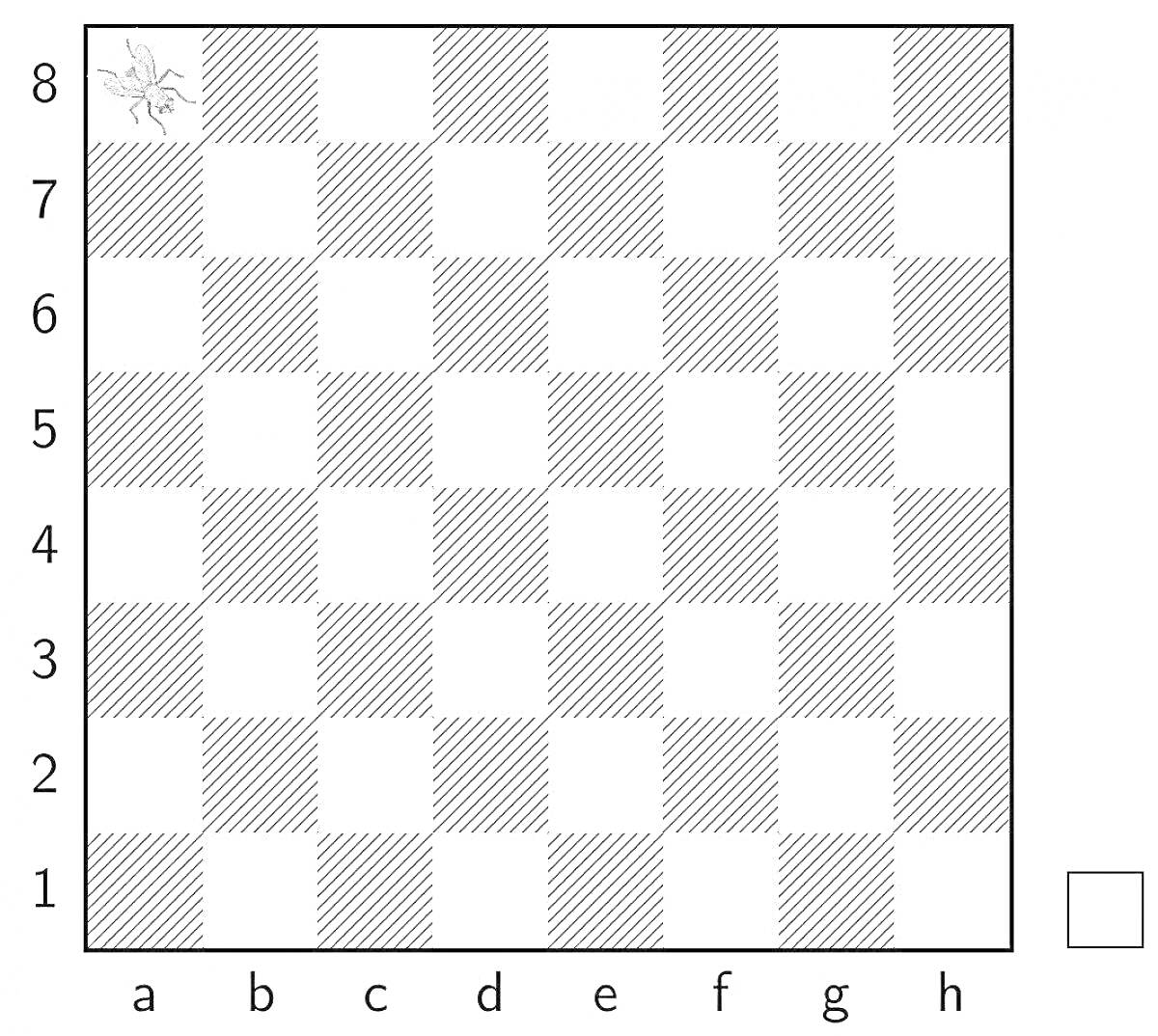 Раскраска шахматная доска с рисунком стрекозы в клетке a8