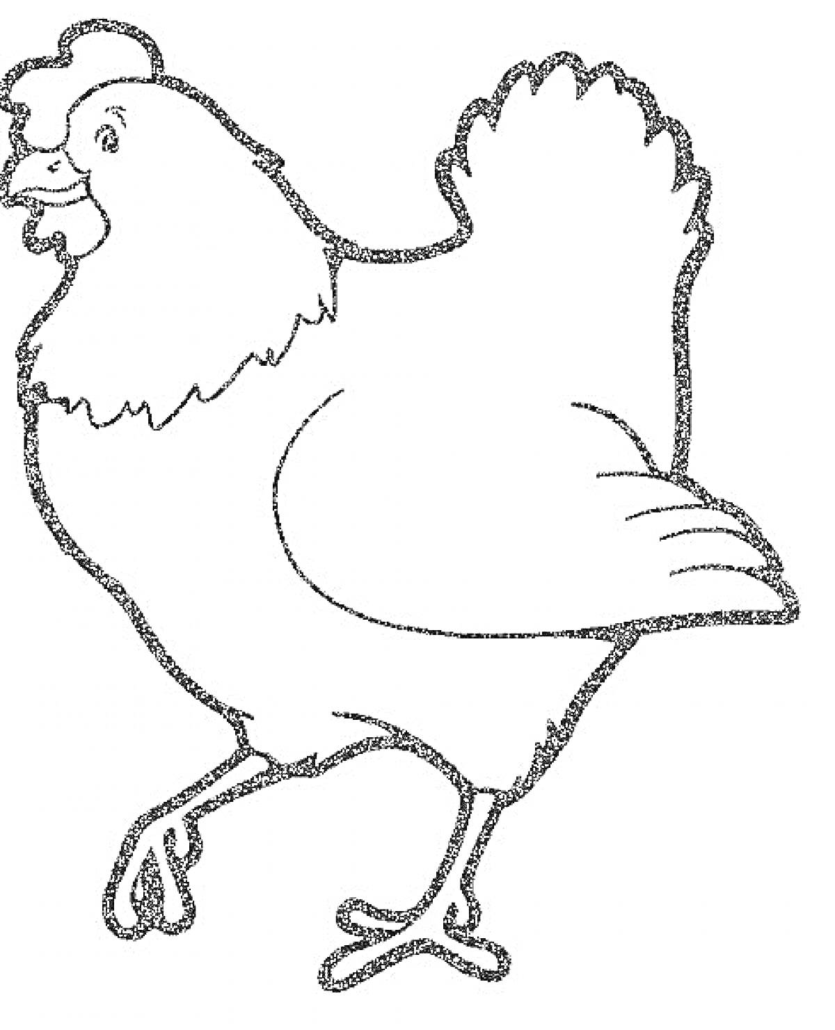 Раскраска Курица с гребнем и хвостом
