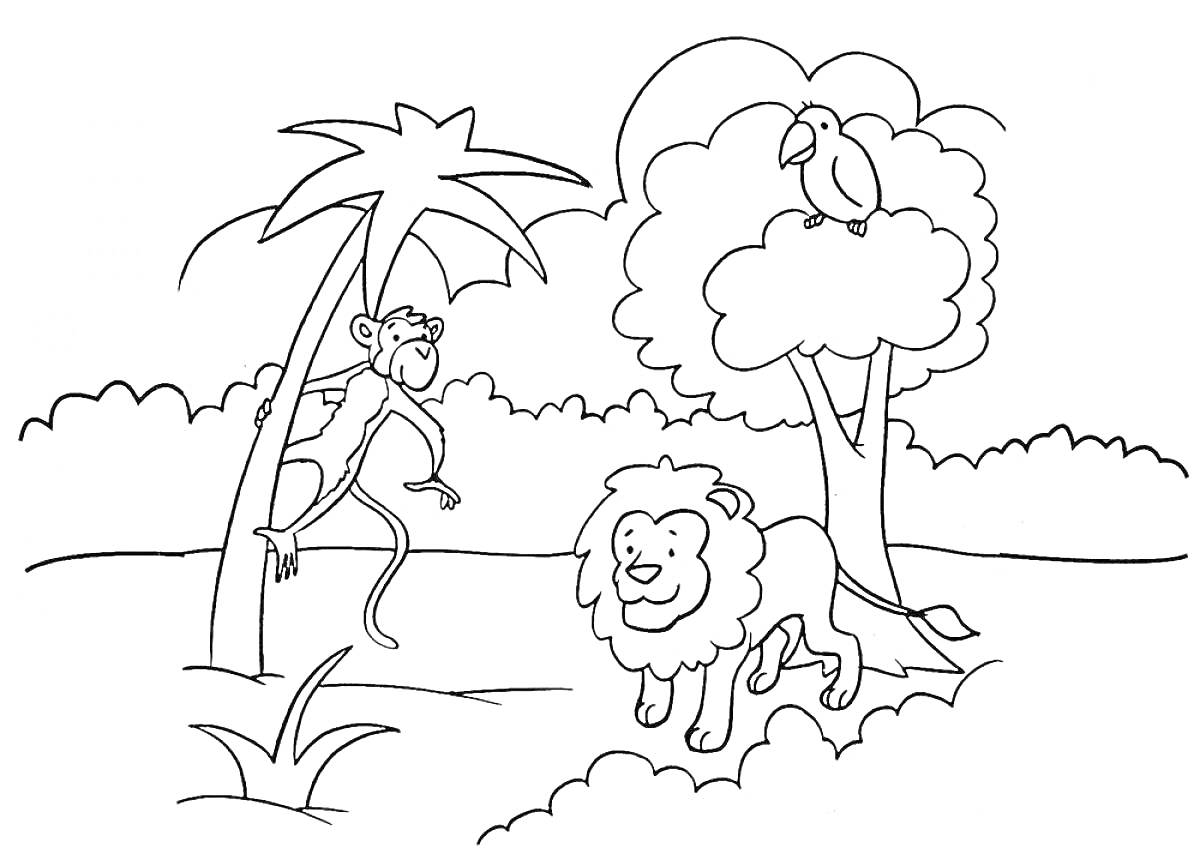 Раскраска Обезьяна на пальме, попугай на дереве, лев на земле в джунглях