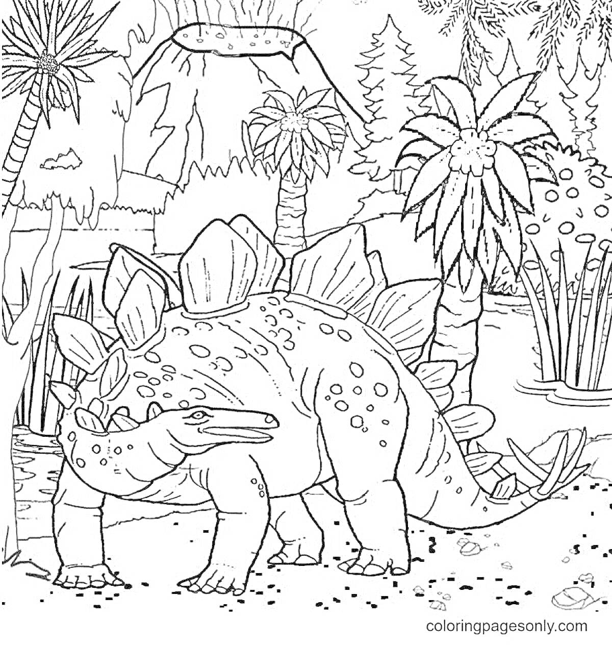 На раскраске изображено: Стегозавр, Вулкан, Деревья, Растения, Природа, Доисторическая эпоха