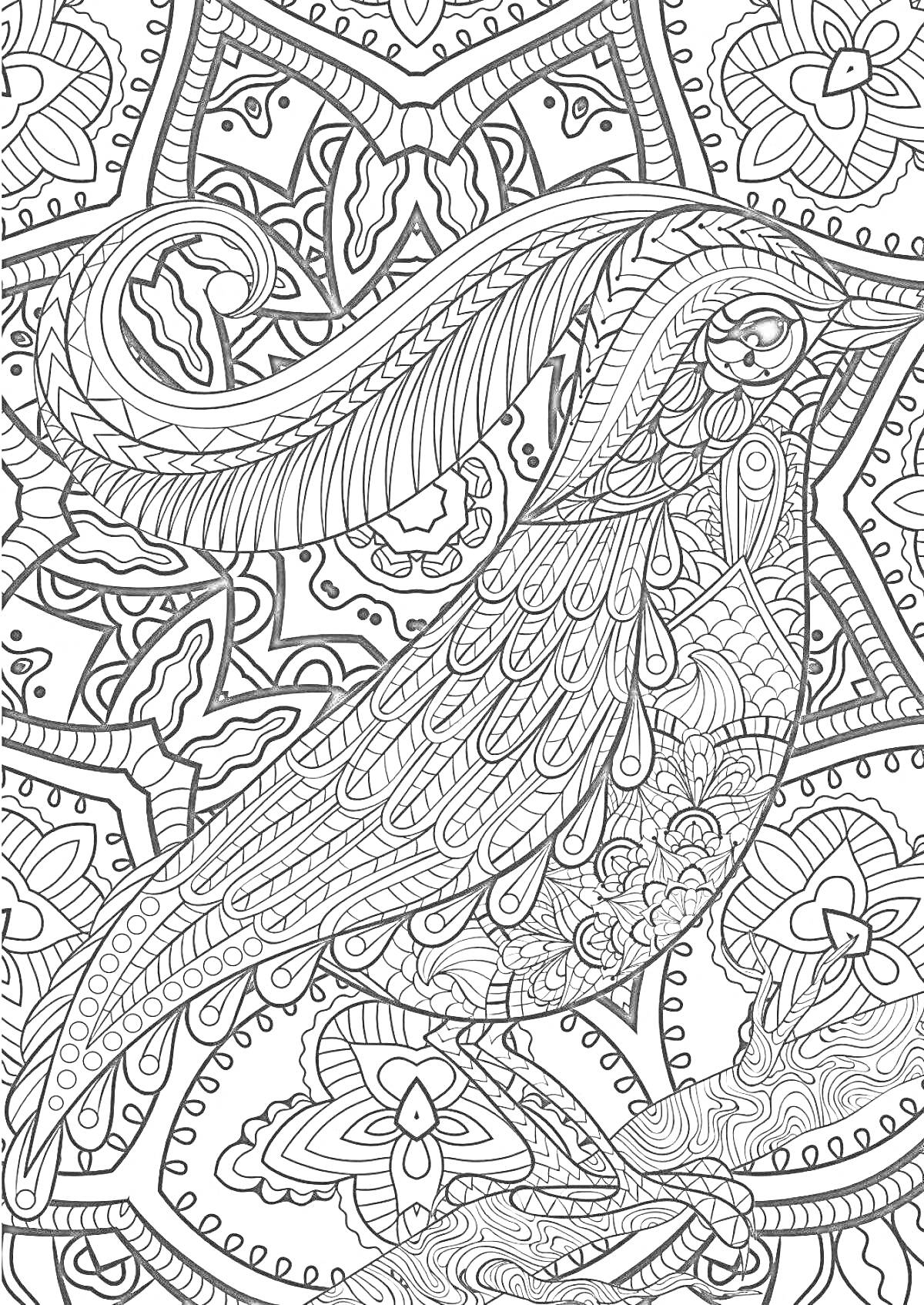 На раскраске изображено: Птица, Узоры, Геометрические фигуры, Ветка, Цветы, Антистресс