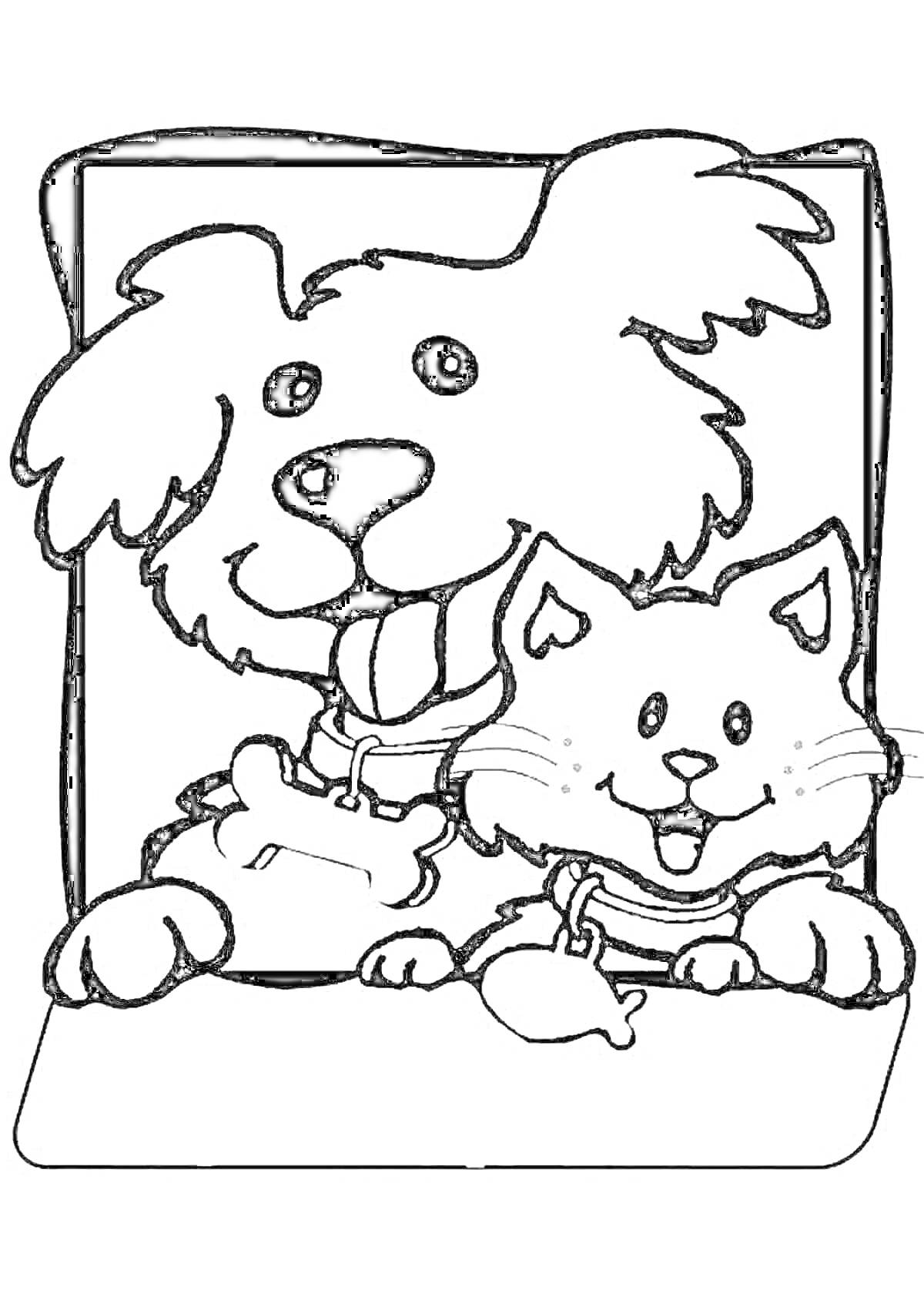 Раскраска Собака и кошка с косточкой и бантиком на ошейниках
