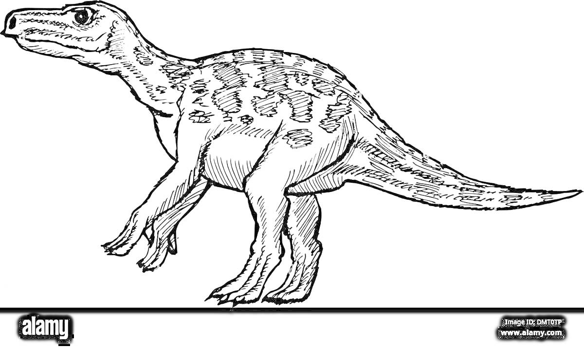 Раскраска Игуанодон, изображённый в профиль с выделенными пятнами на спине