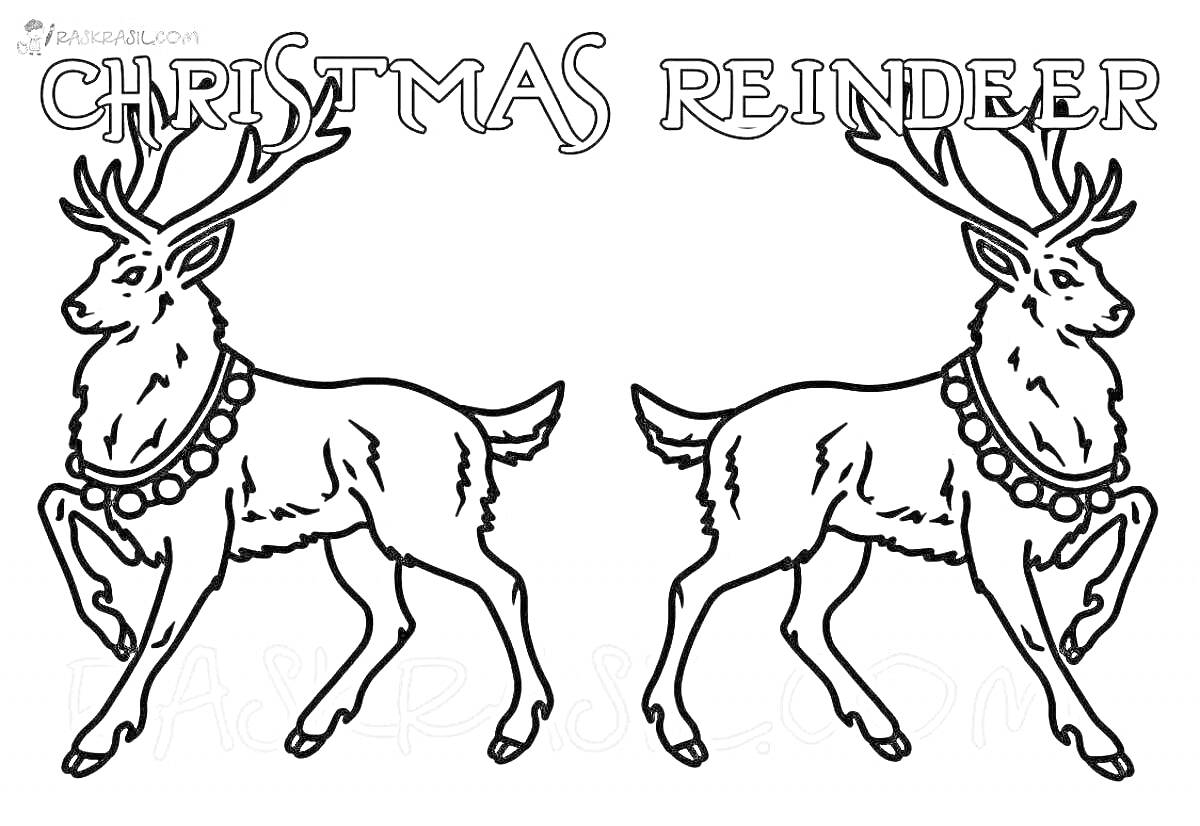 На раскраске изображено: Северный олень, Рождество, Новогодний олень, Украшения
