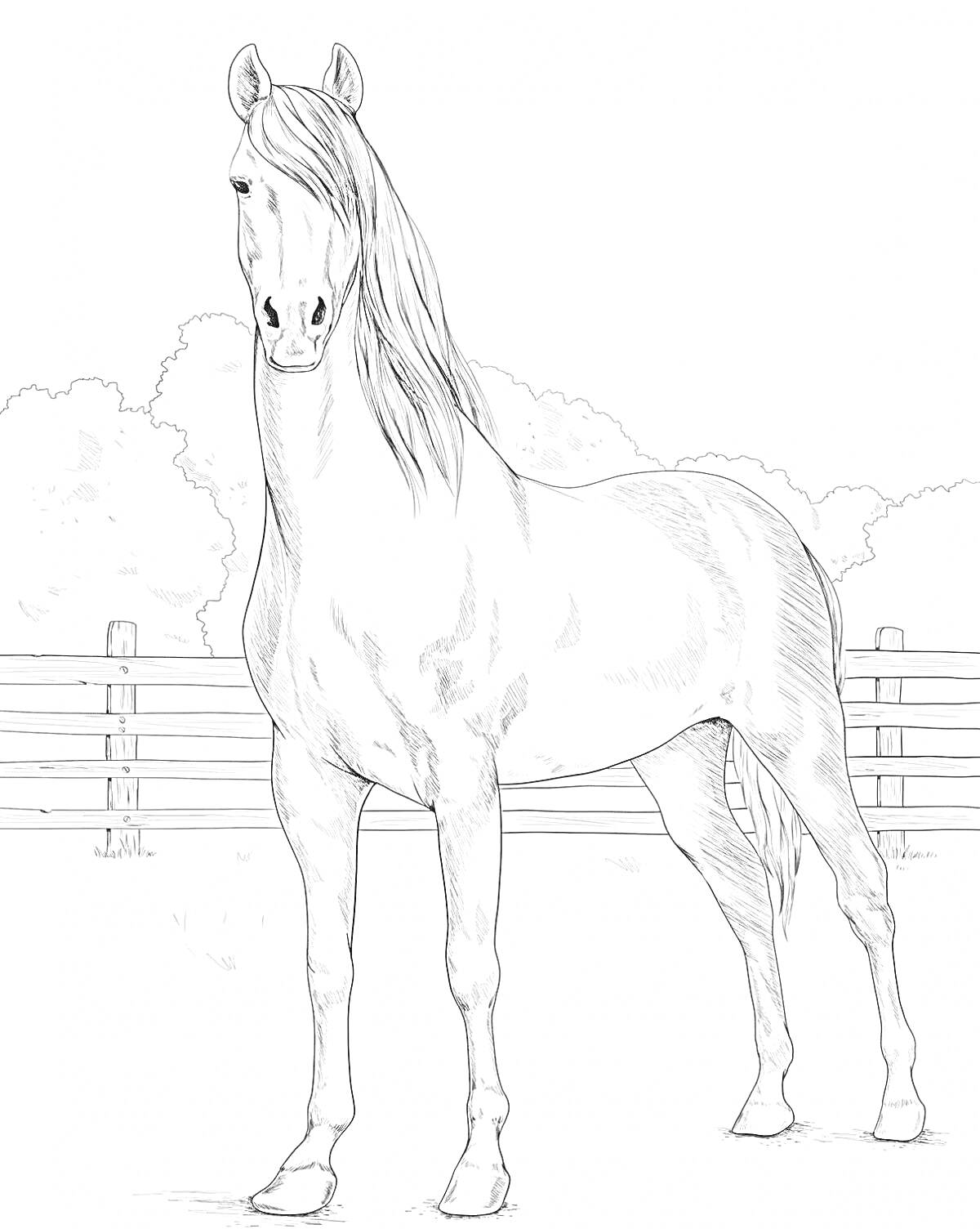 Раскраска Лошадь на фоне забора и деревьев