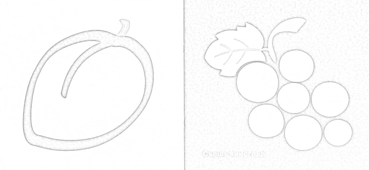 На раскраске изображено: Фрукты, Слива, Виноград, Ягоды