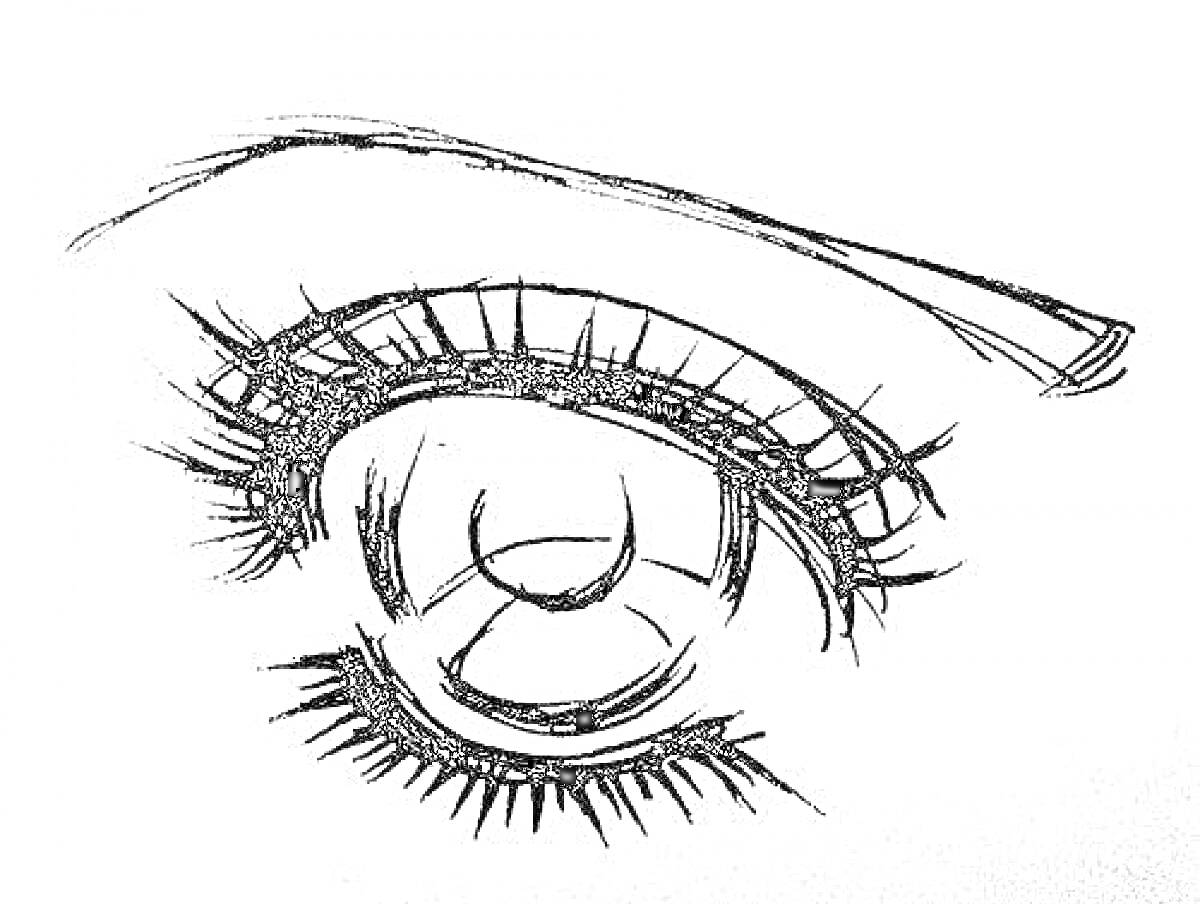 Раскраска Аниме глаз с бровью и тенями, показанными контуром