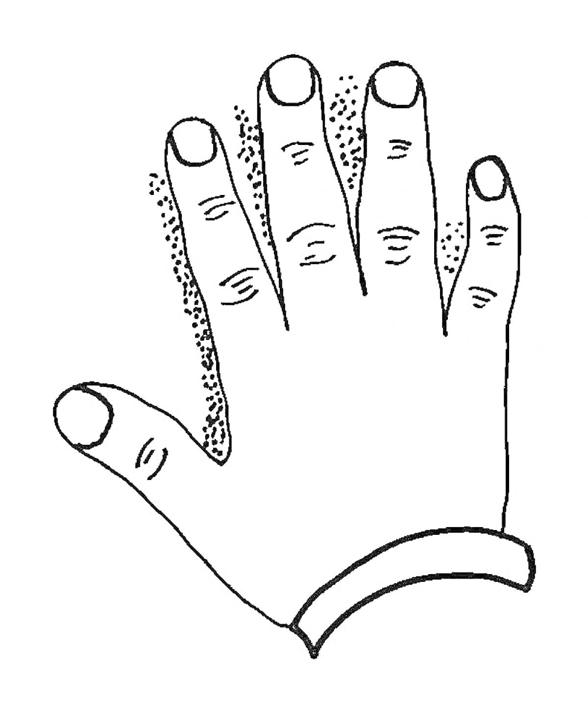 Раскраска Изображение ладони с пятью пальцами и запястьем