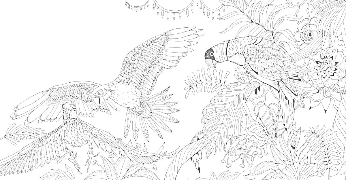 На раскраске изображено: Природа, Попугаи, Цветы, Листья, Антистресс