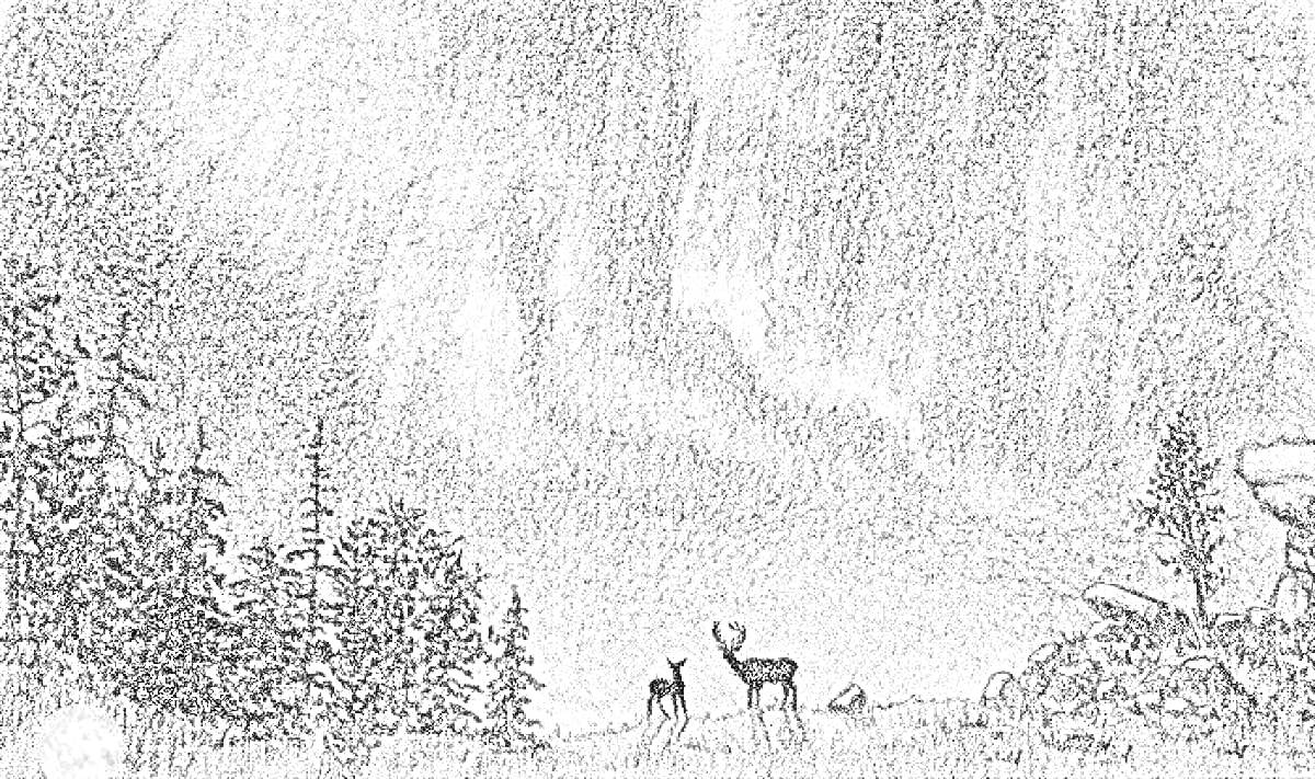 Раскраска Северное сияние с оленями среди леса