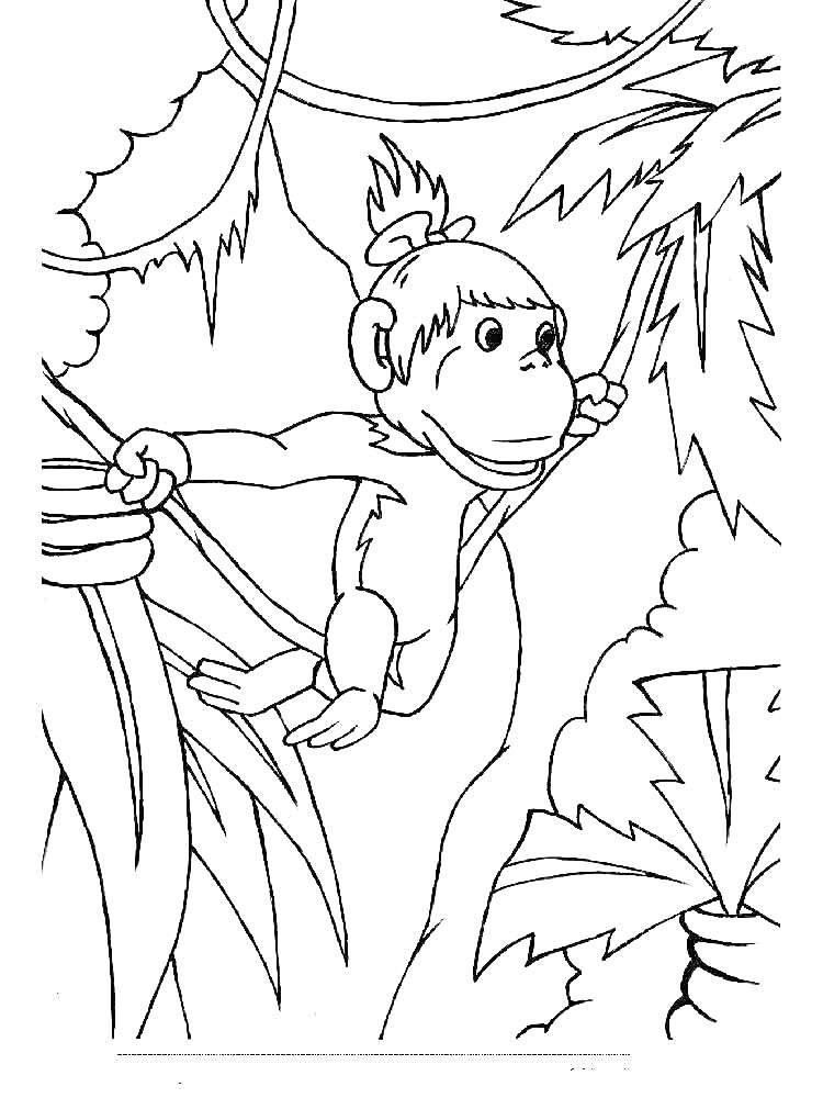 Раскраска Обезьянка на лиане в джунглях