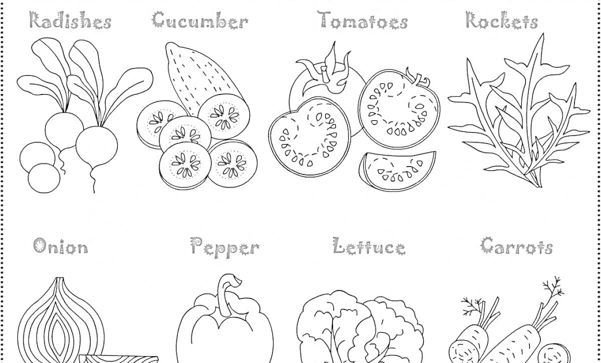 Раскраска Разукрашка для детей с овощами на английском языке (редис, огурец, помидоры, рукола, лук, перец, салат, морковь)