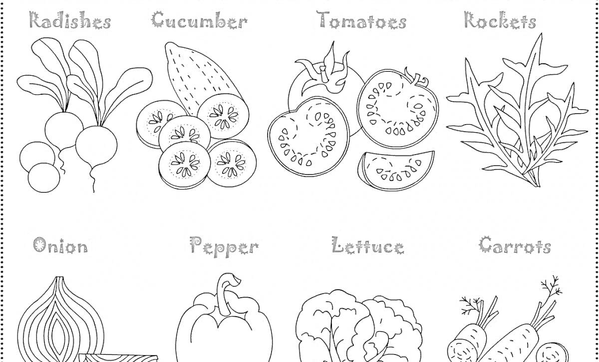 На раскраске изображено: Разукрашка, Для детей, Овощи, Редис, Огурец, Лук, Перец, Салат, Морковь, Помидор, Английский язык