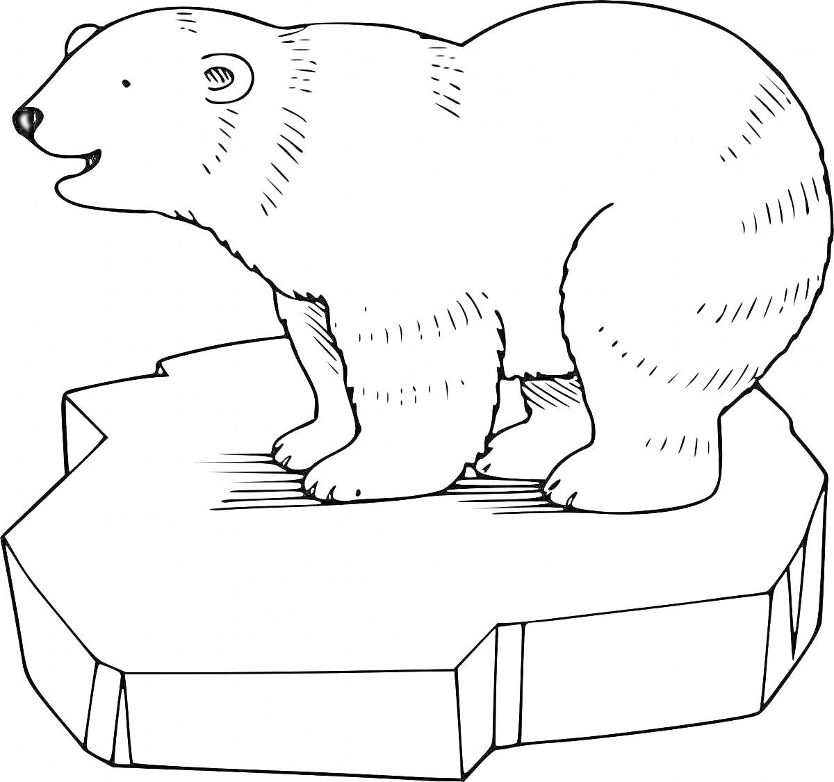 На раскраске изображено: Белый медведь, Льдина, Арктика, Полярный медведь, Природа, Холод, Животные