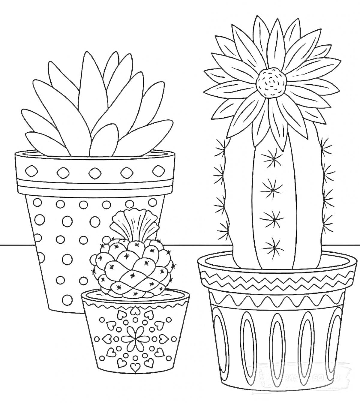 Красивая раскраска с комнатными растениями - три горшка с суккулентом, кактусом с цветком и еще одним узорчатым кактусом