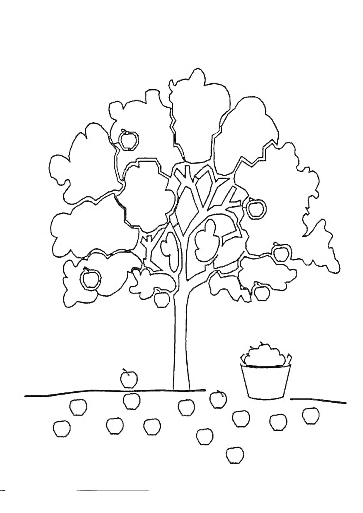 На раскраске изображено: Яблоня, Корзина, Природа, Сад, Сбор урожая