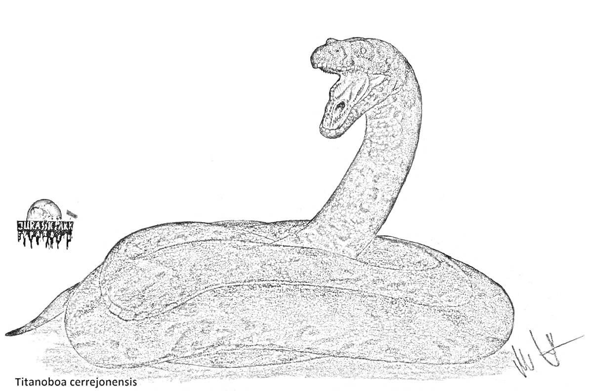 Раскраска Титанобоа (Titanoboa cerrejonensis) на белом фоне