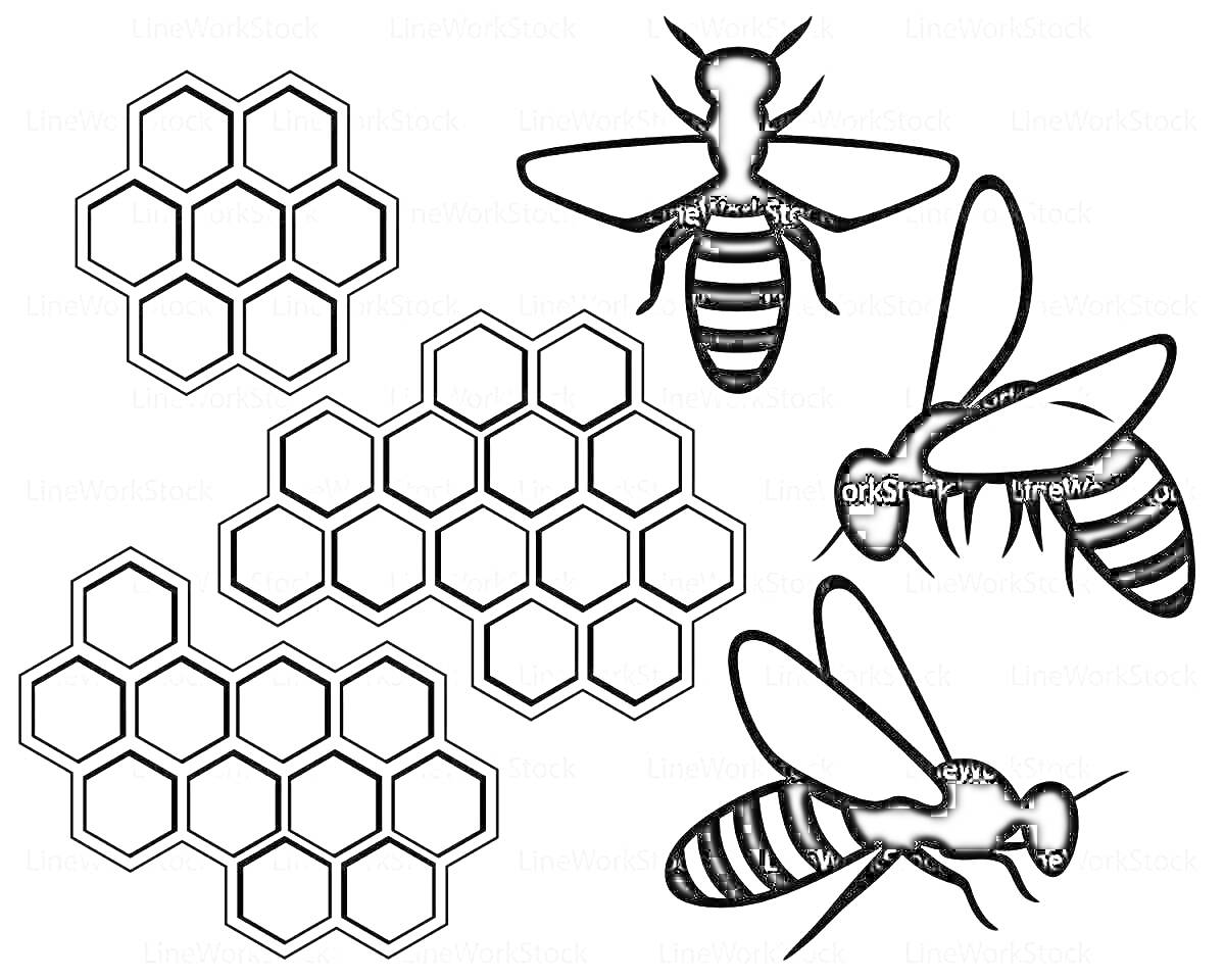На раскраске изображено: Соты, Пчелы, Улей, Шестиугольники, Природа