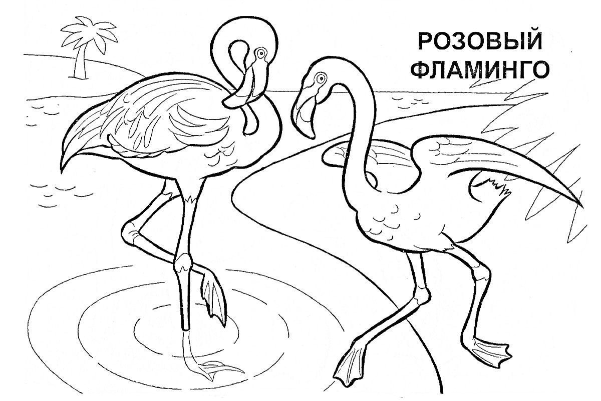 Раскраска Два фламинго у воды с деревом на заднем плане