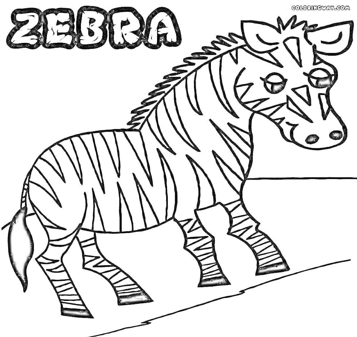 Раскраска Зебра с полосками с надписью 