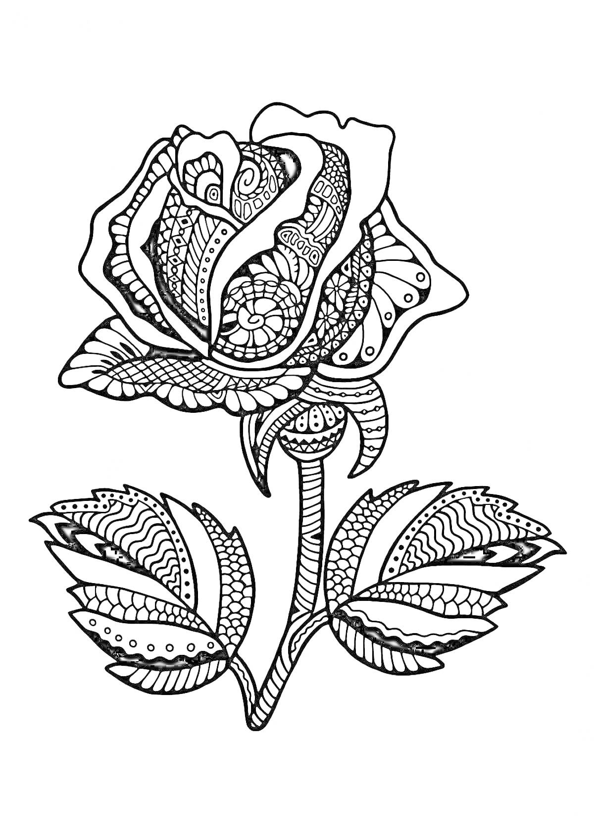 Раскраска Антистресс раскраска с розой и орнаментом на листьях и лепестках