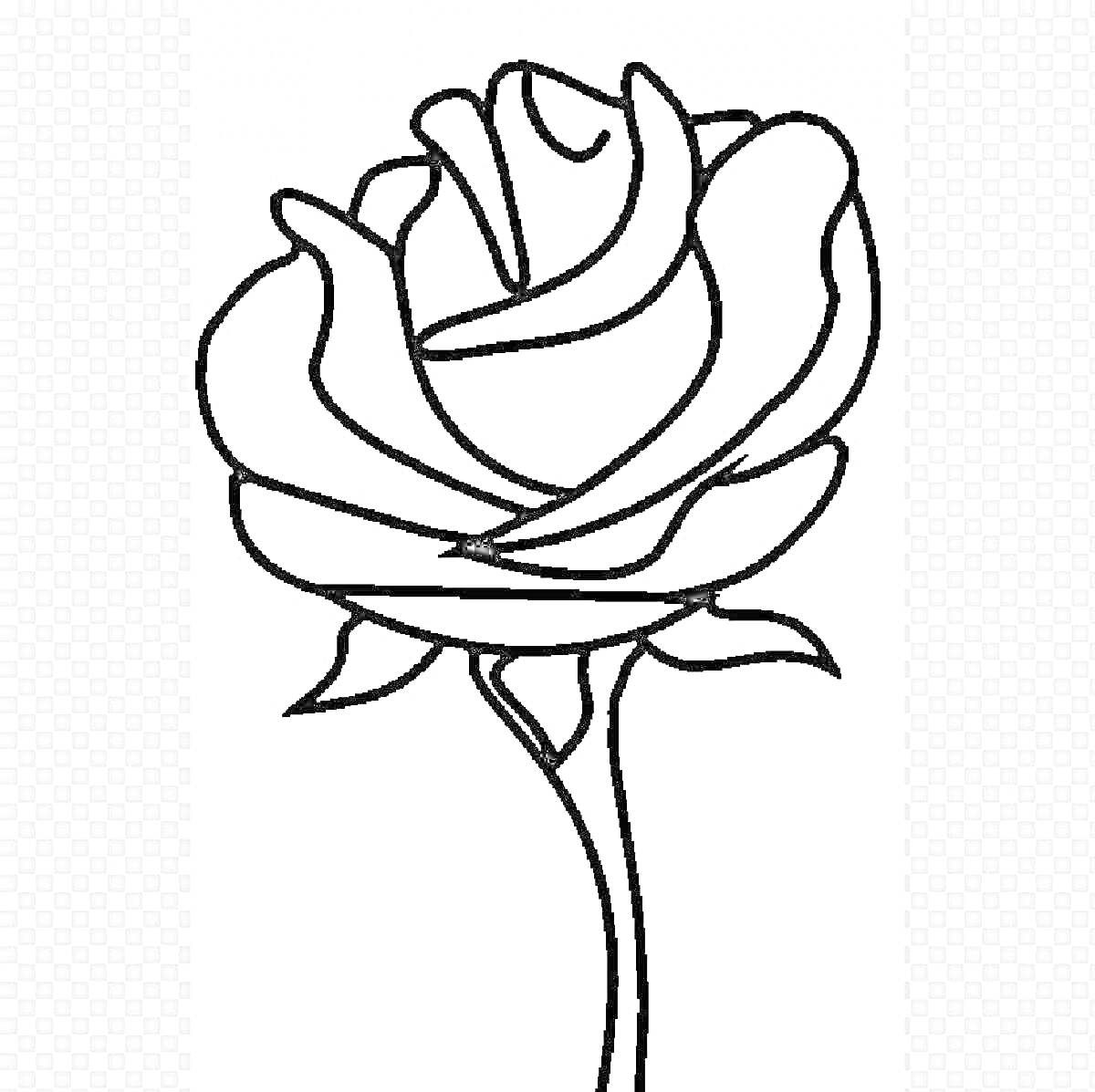 Раскраска Раскраска розы с бутоном и стеблем