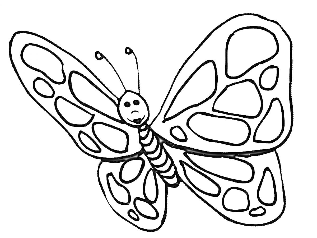 На раскраске изображено: Бабочка, Крылья, Узоры, Антенны, Насекомое