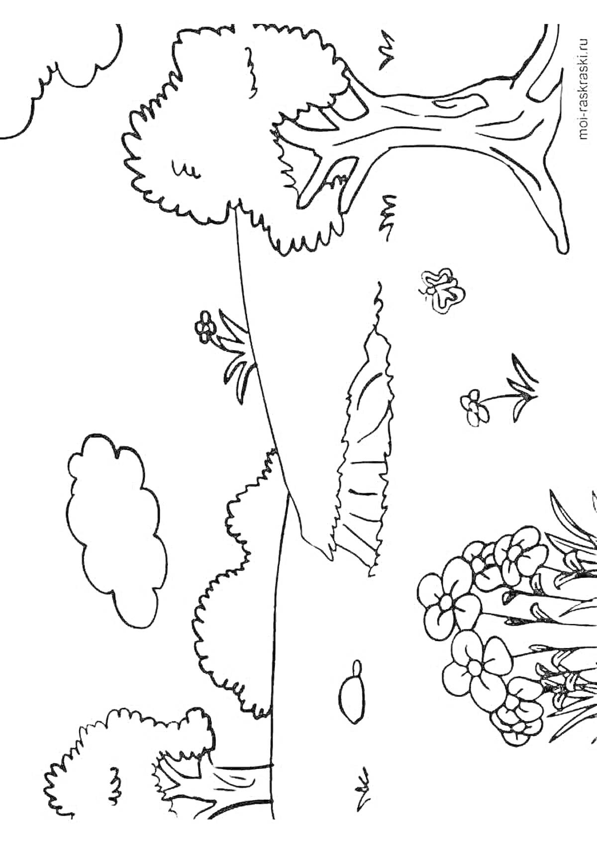 Раскраска Пейзаж с деревьями, цветами и облаками