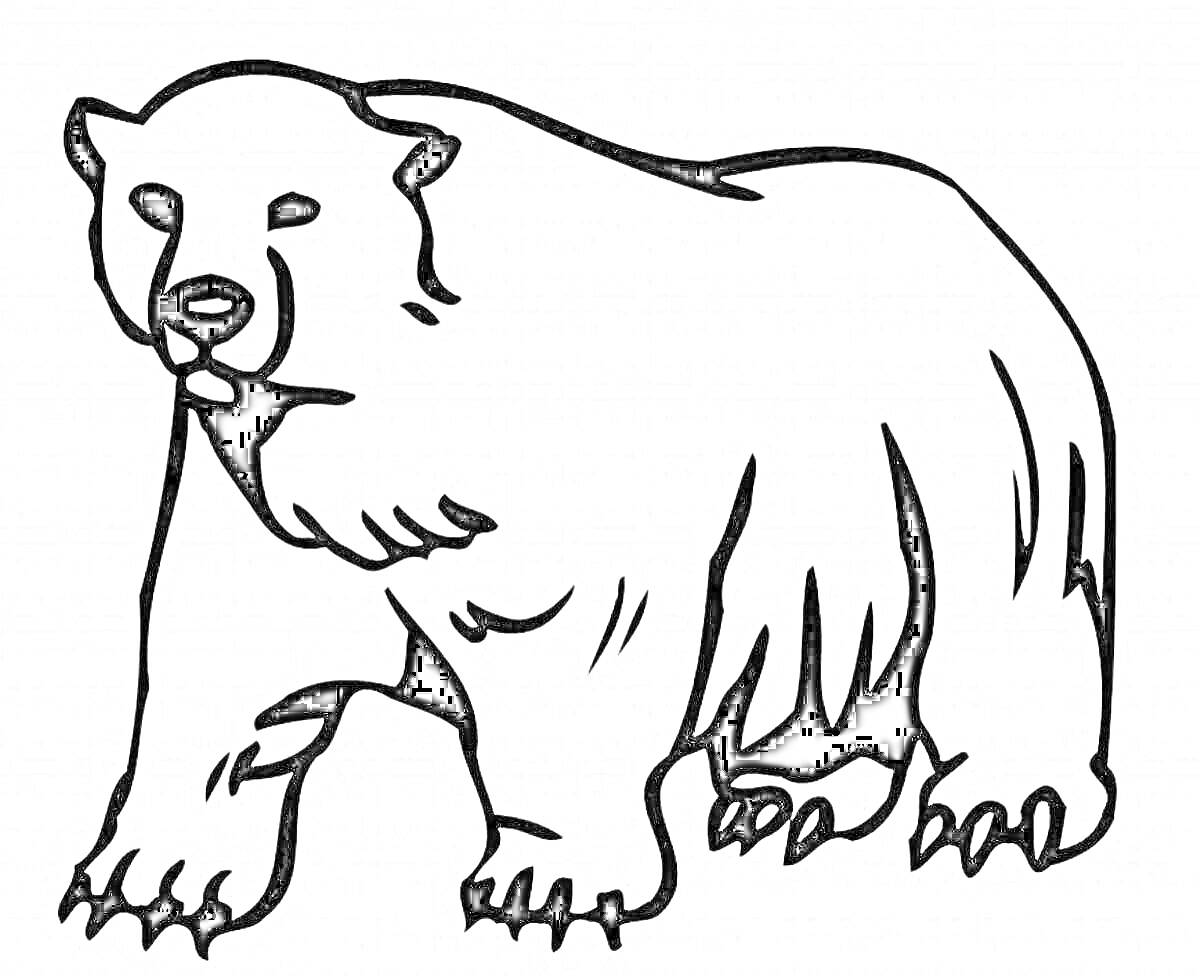 Раскраска Чёрно-белый контур медведя - символ России