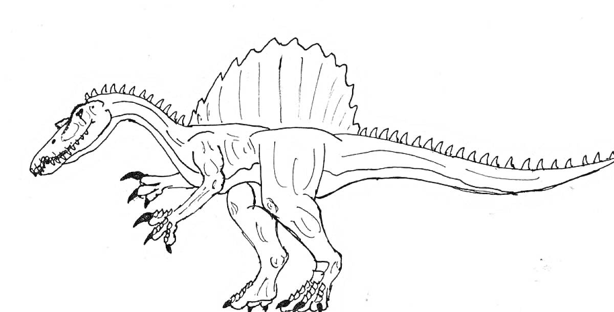 Раскраска Спинозавр с парусом на спине, большой хищный динозавр с когтями.