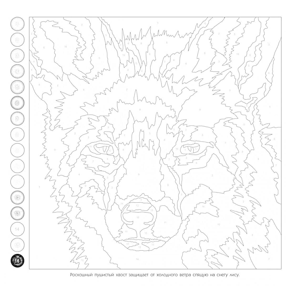 Раскраска Раскраска по номерам с изображением морды волка