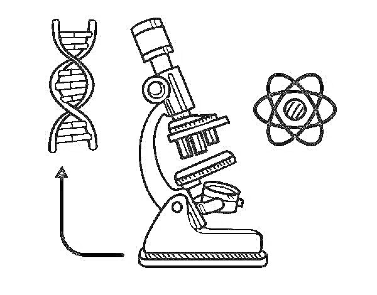Раскраска Микроскоп, модель ДНК и атом в биологии