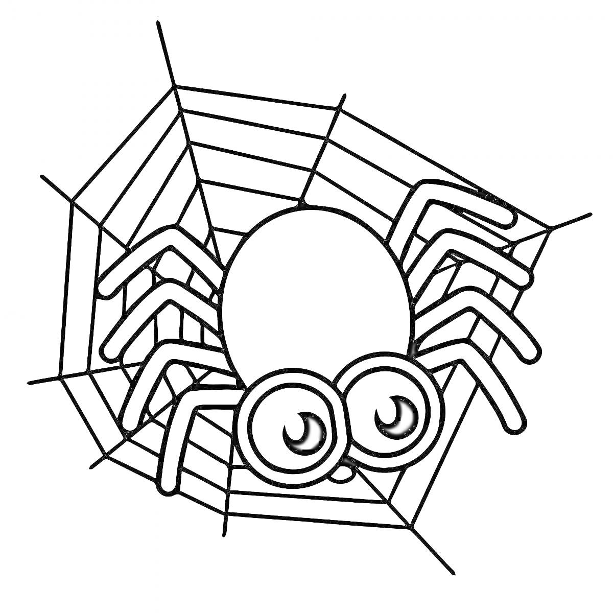 РаскраскаПаучок на паутине с большими глазами
