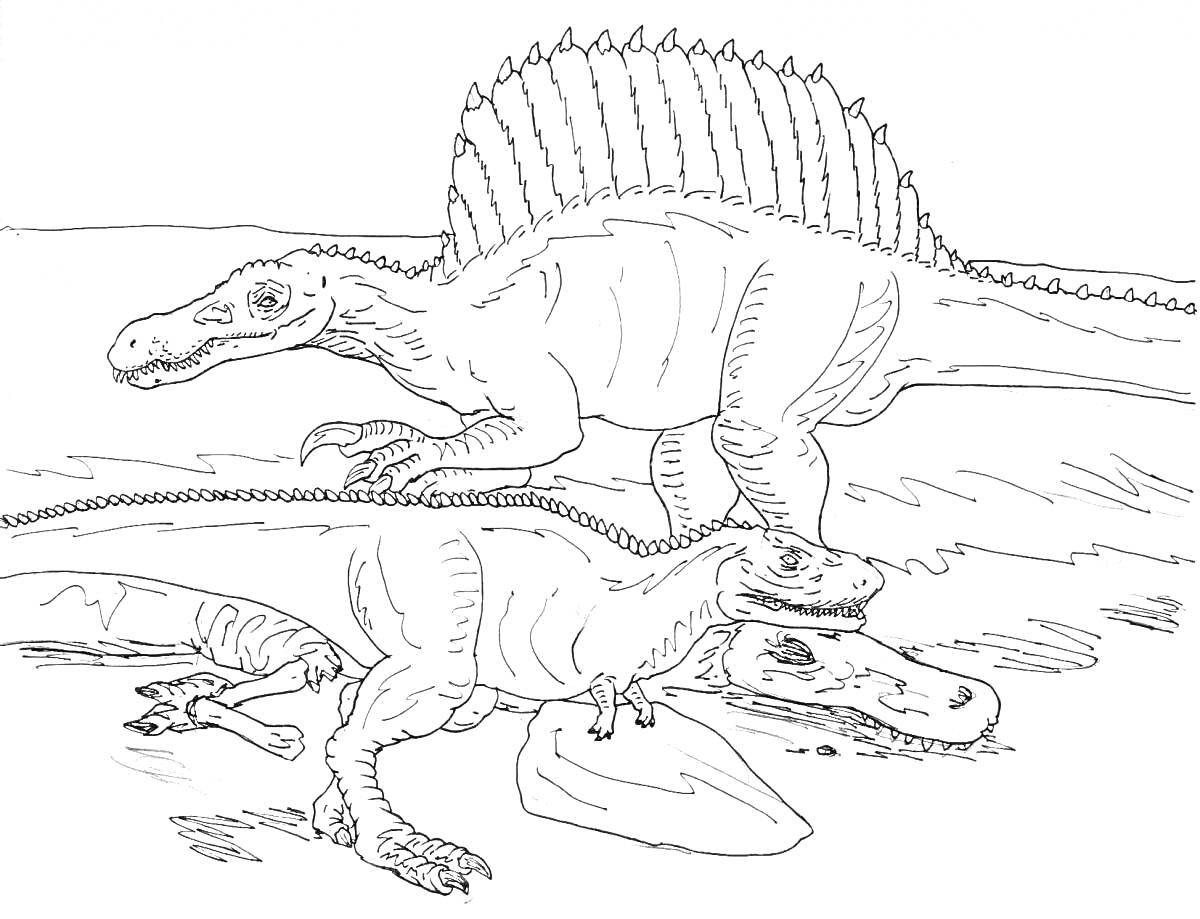 На раскраске изображено: Спинозавр, Водоем, Природа, Хищники, Палеонтология, Доисторические животные, Динозавр