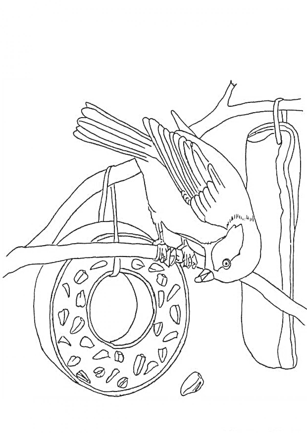 Раскраска Птица зимой у кормушки с семенами на ветке