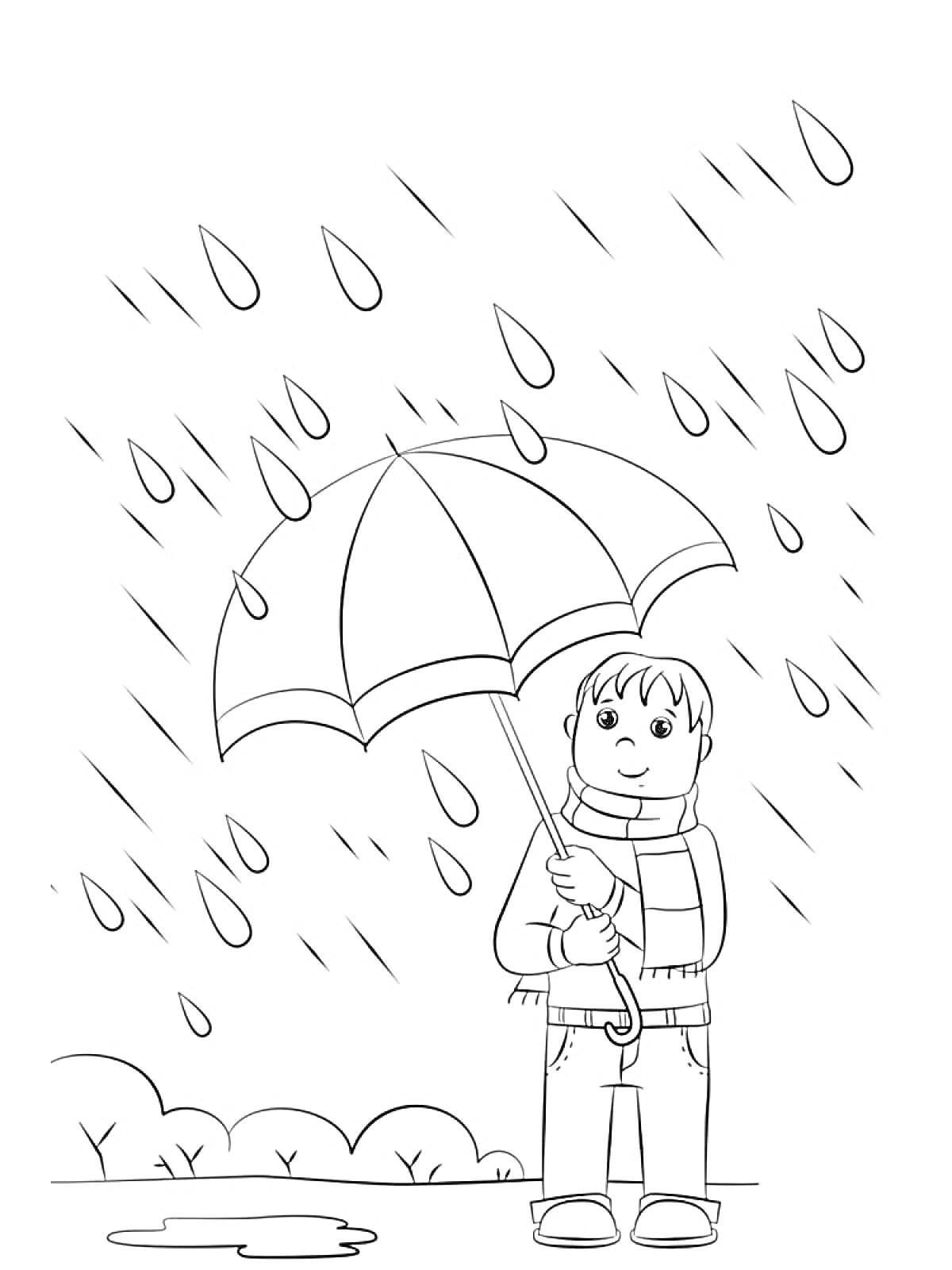 На раскраске изображено: Дождь, Мальчик, Зонт, Капли, Лужа, Кусты, Шарф, Сапоги, Природа, Улицы