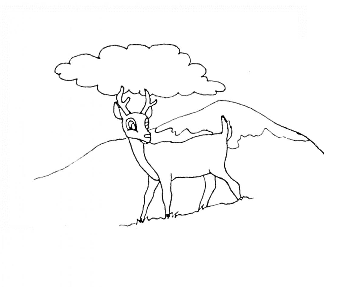 На раскраске изображено: Олень, Холмы, Природа, Животные, Облака