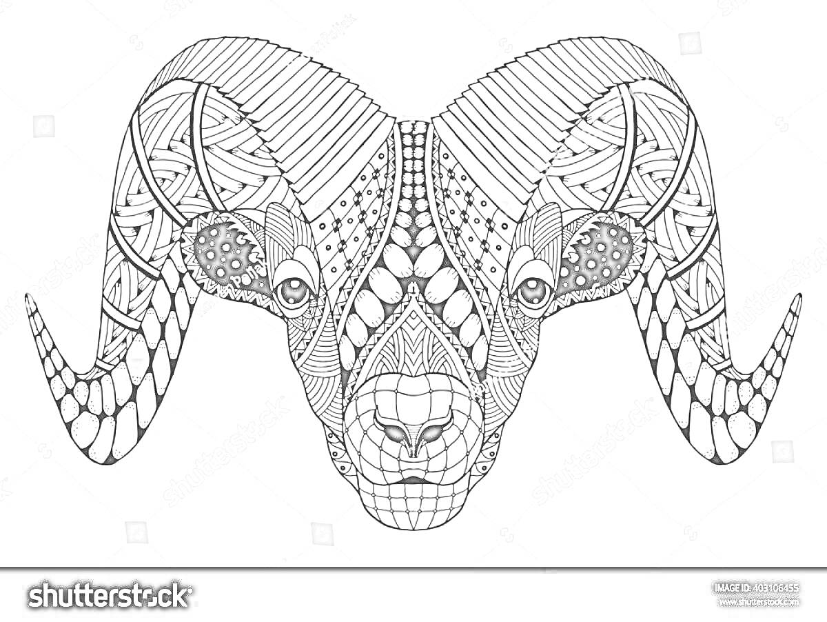 Раскраска Овен с орнаментом: рисунок головы овна с узорными элементами