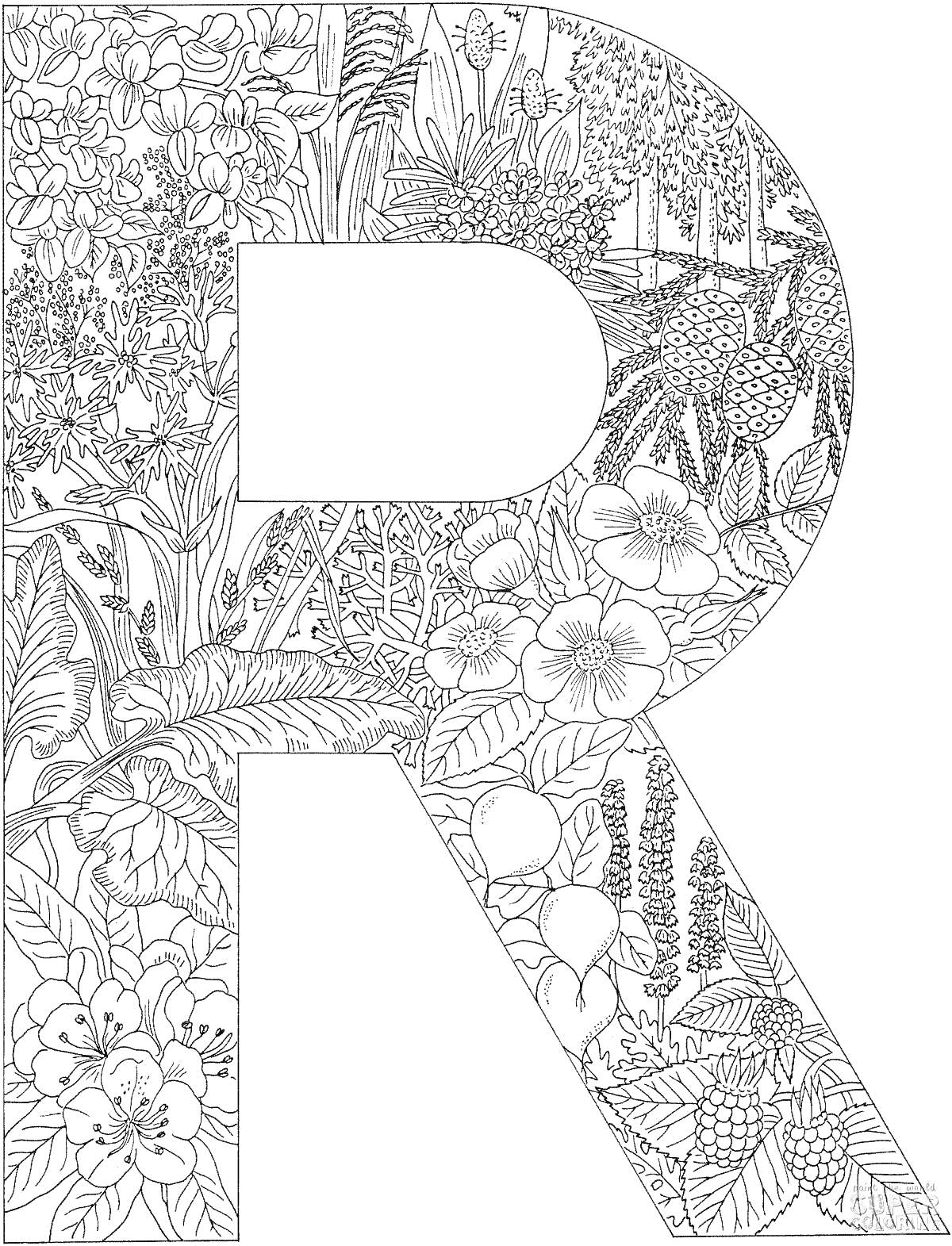 На раскраске изображено: Буква R, Антистресс, Цветы, Листья, Растения, Природа, Узоры, Изобилие
